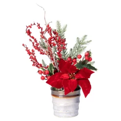 Die moderne Hausfrau Advents-Gesteck "Christstern"