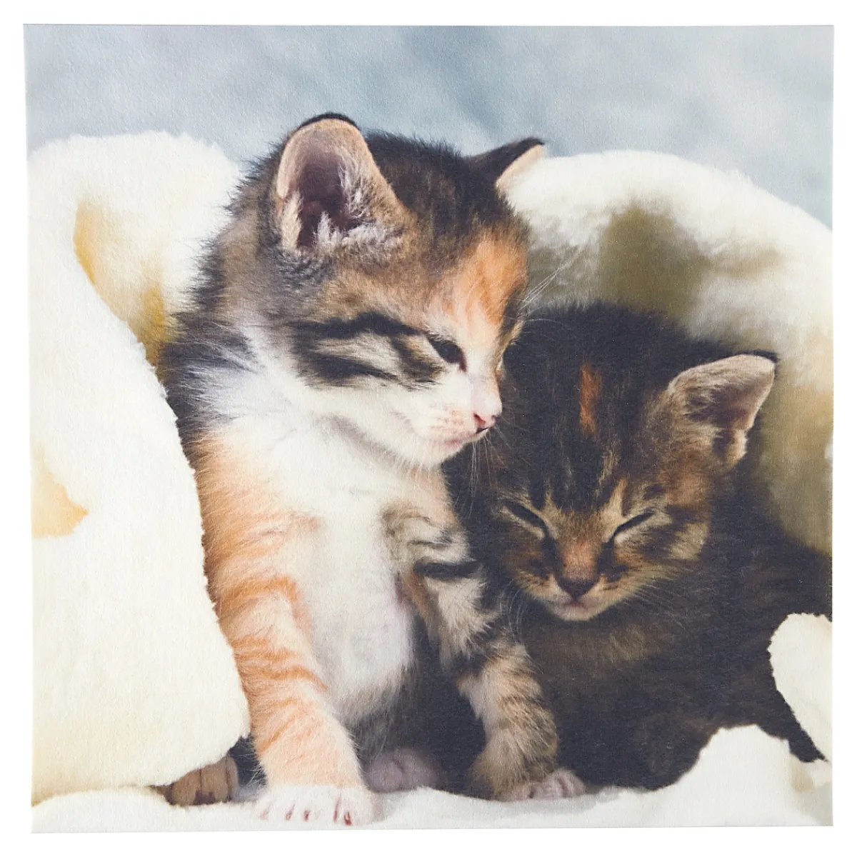 Die moderne Hausfrau Anti-Rutsch-Auflage Kätzchen