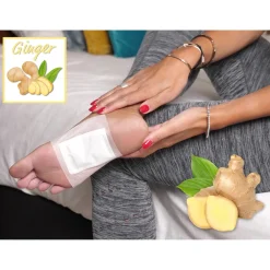 Die moderne Hausfrau Bambus-Pflaster Ingwer, 10 Stück