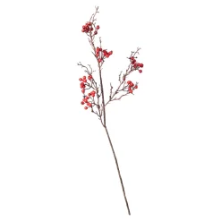 Die moderne Hausfrau Beerenzweig