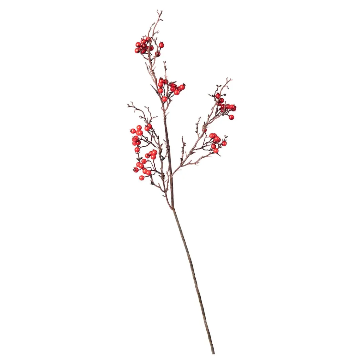 Die moderne Hausfrau Beerenzweig