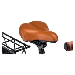 Die moderne Hausfrau City E-Bike Classic 