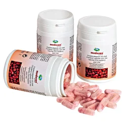 Die moderne Hausfrau Cranberry Kapseln, 60 Stück, 19 g