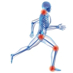 Die moderne Hausfrau Einlegesohlen "Memory-Komfort" schwarz