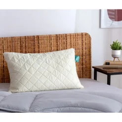 Die moderne Hausfrau f.a.n. Dinkelkissen 040x060