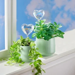 Die moderne Hausfrau Glas-Bewässerungshilfe „Herz“, 4 Stück