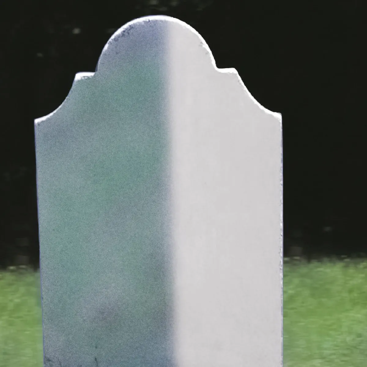 Die moderne Hausfrau Grünbelagentferner, 650 ml