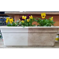 Die moderne Hausfrau Öko-Auffrischer 