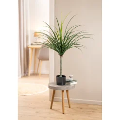 Die moderne Hausfrau Kunstpalme "Drachenbaum"