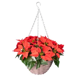 Die moderne Hausfrau LED-Hängekorb „Weihnachtsstern“