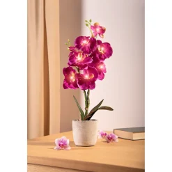 Die moderne Hausfrau LED-Orchidee