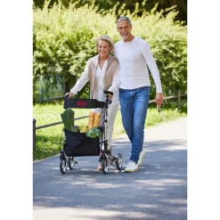 Die moderne Hausfrau Leichtgewicht-Rollator Premium, Aluminium, mit Rückengurt und Tasche - AT51006 silber