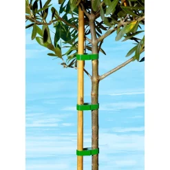 Die moderne Hausfrau Pflanzband, 5 m