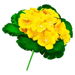 Die moderne Hausfrau Primel gelb