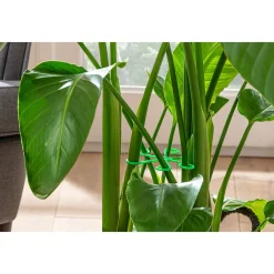 Die moderne Hausfrau Rankhilfe, 8 Stück