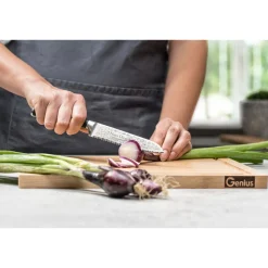 Die moderne Hausfrau Santoku-Messer-Set, 2-teilig