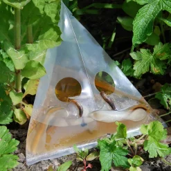 Die moderne Hausfrau Schneckenfalle, 10 Stück