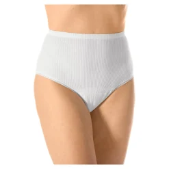 Die moderne Hausfrau Sicherheits-Damenslip für Einlagen