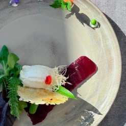 Die moderne Hausfrau Speiseteller-Set, Steinzeug Nebelwald