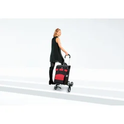 Die moderne Hausfrau Treppensteiger 