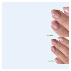 Die moderne Hausfrau Warzen-Ex Tinktur, 2 ml