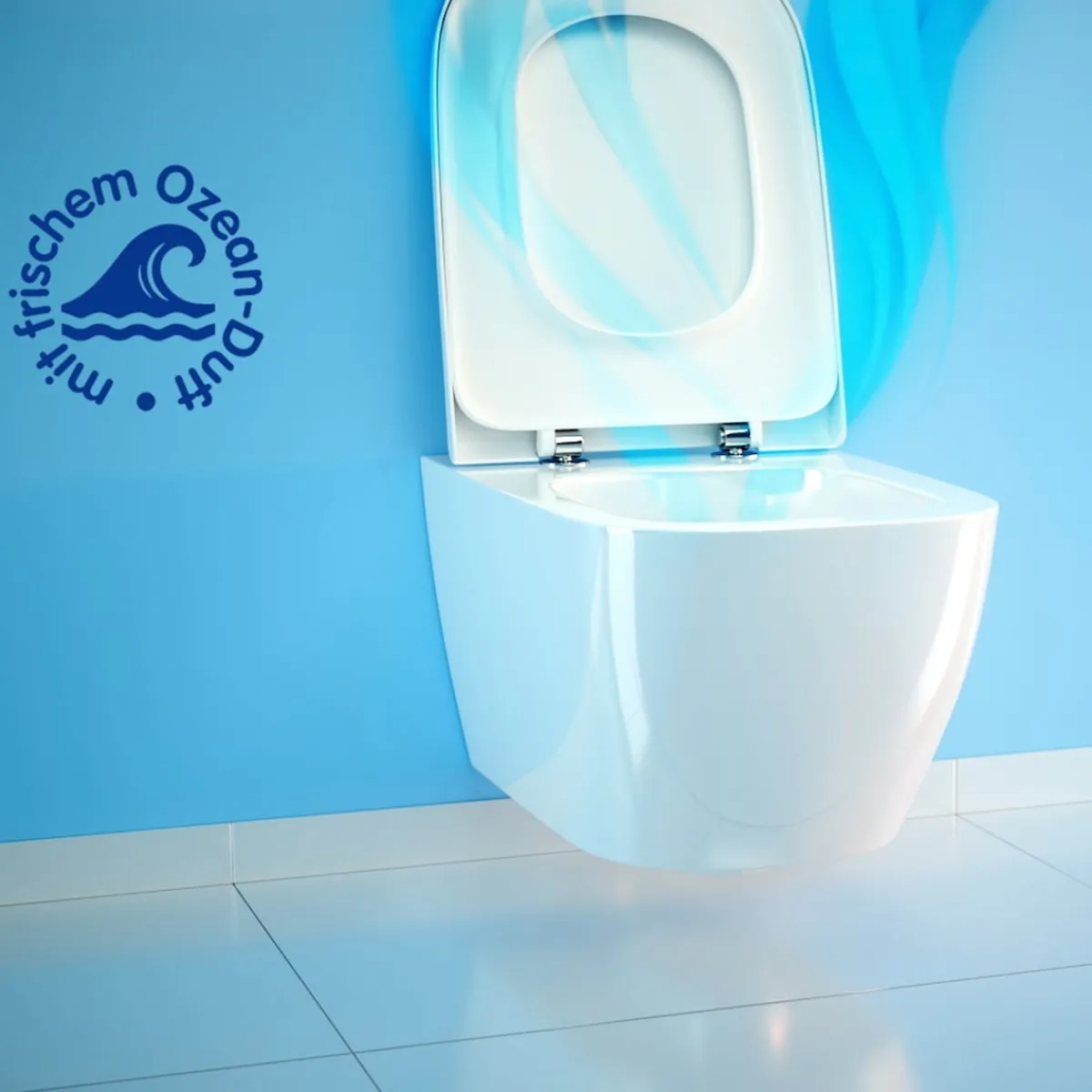 Die moderne Hausfrau WC-Pulver, 1 kg