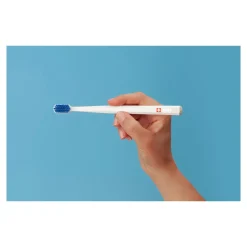 Die moderne Hausfrau Zahnbürsten